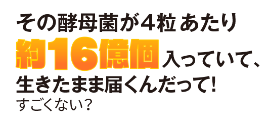 その酵母菌が4粒あたり約16億個入っていて、生きたまま届くんだって！すごくない？