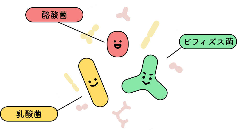 マルチプロバイオティクス