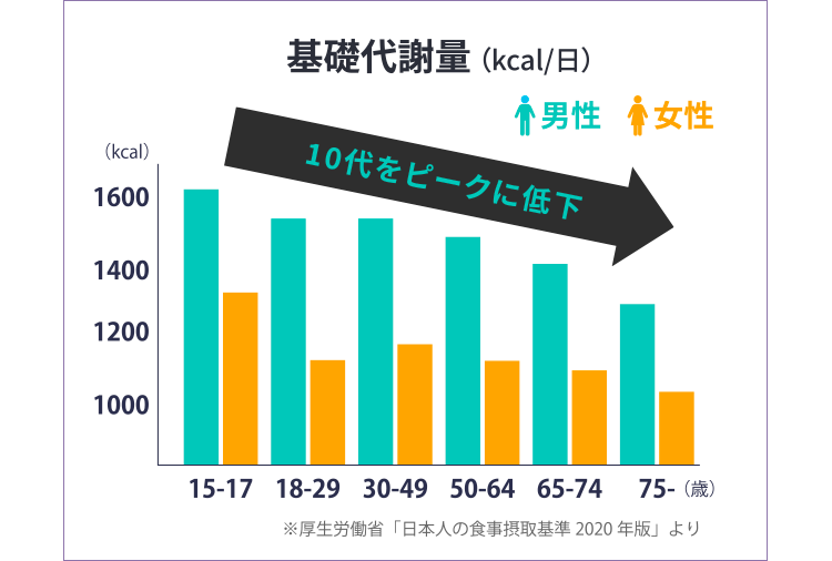 基礎代謝量 グラフ