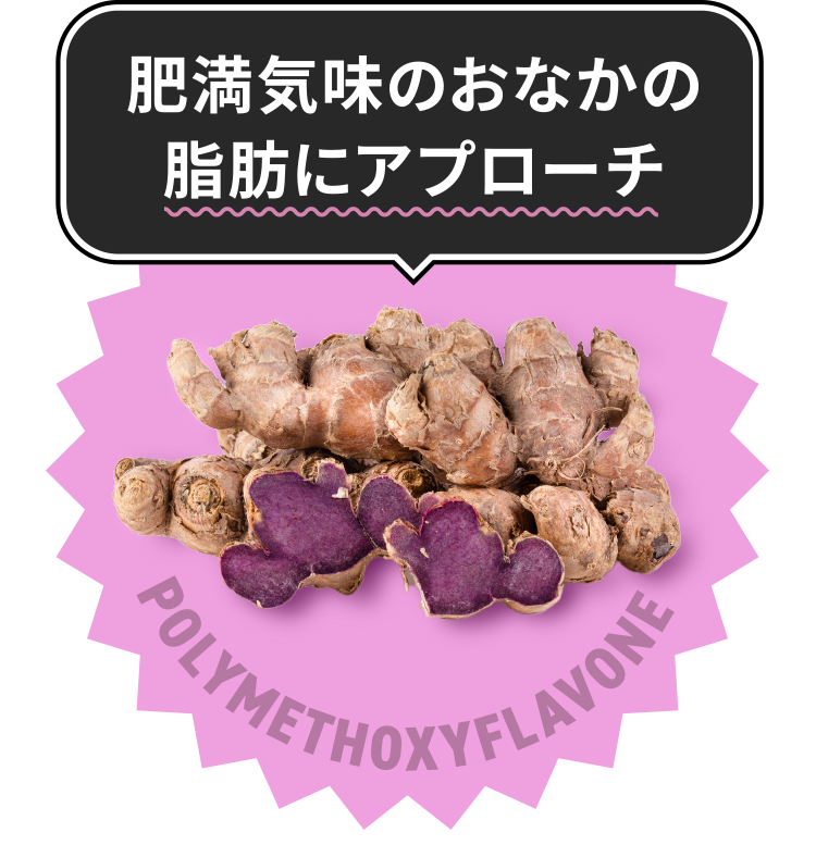 黒しょうが