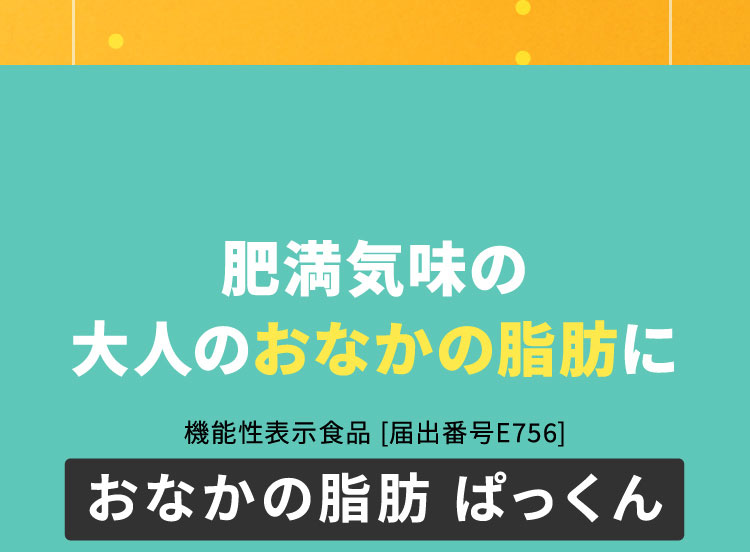 肥満気味の大人のおなかの脂肪に